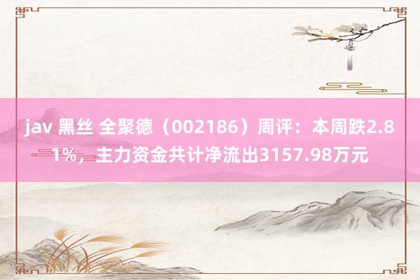 jav 黑丝 全聚德（002186）周评：本周跌2.81%，主力资金共计净流出3157.98万元